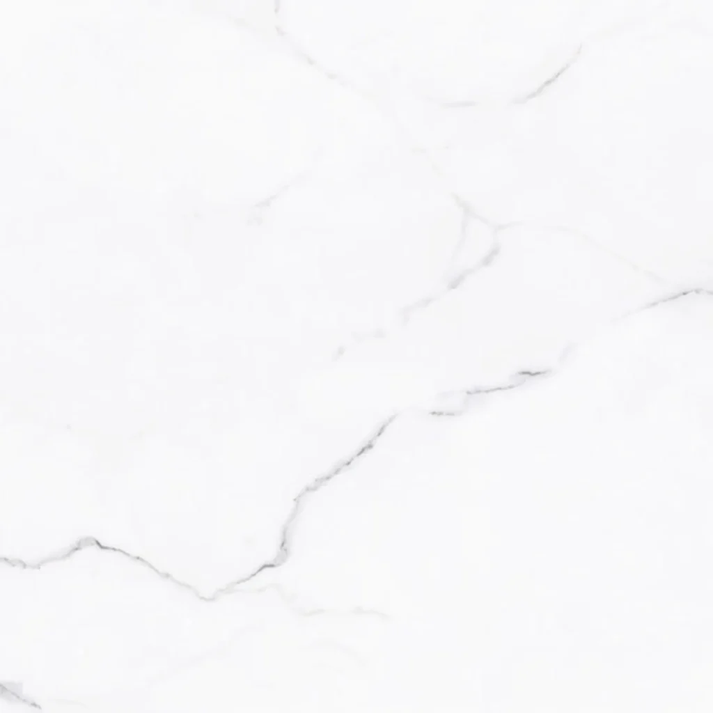 TEMIYC4701 400×400 (2)