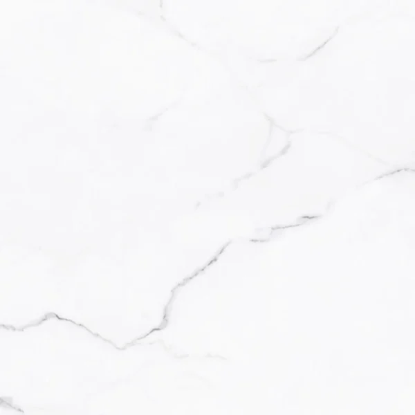 TEMIYC4701 400×400 (2)