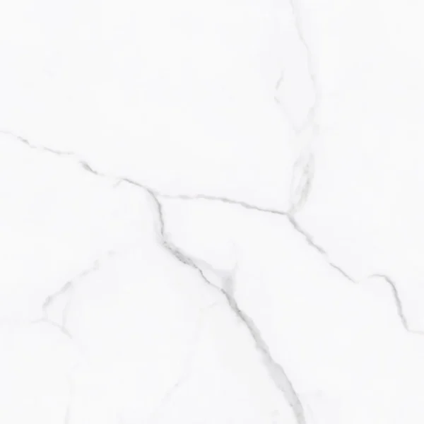 TEMIYC4701 400×400 (3)