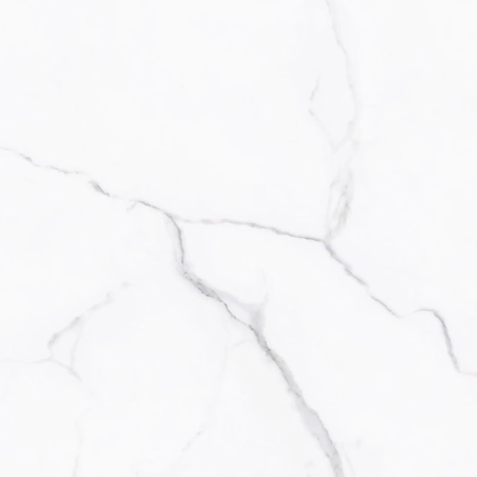 TEMIYC4701 400×400 (3)