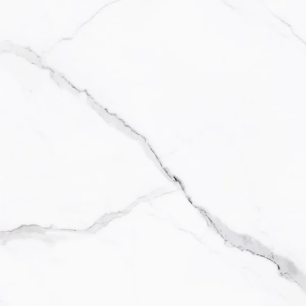 TEMIYC4701 400×400 (5)