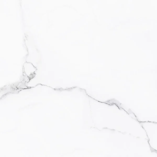 TEMIYC4701 400×400 (6)