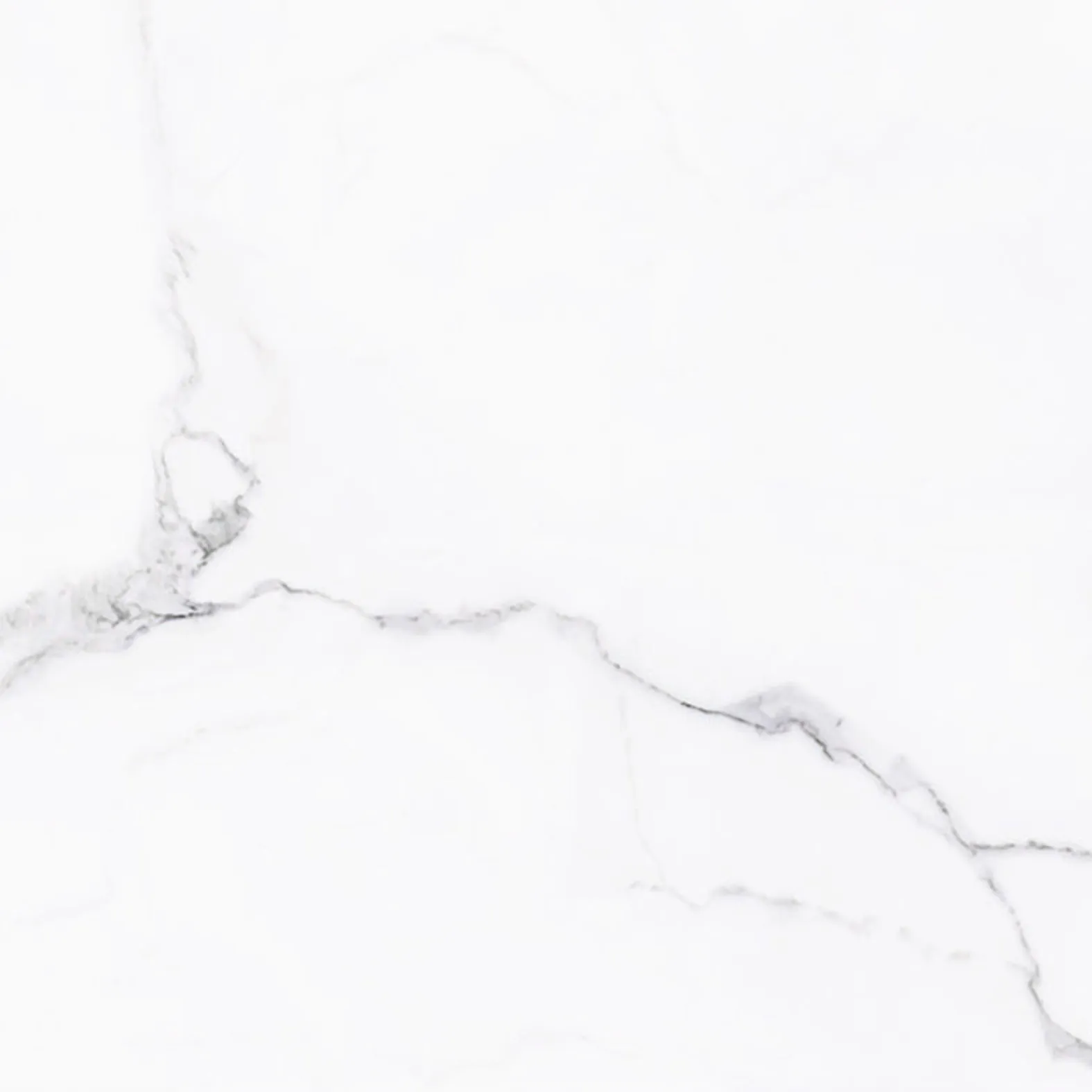 TEMIYC4701 400×400 (6)